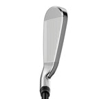 Great Big Bertha Iron